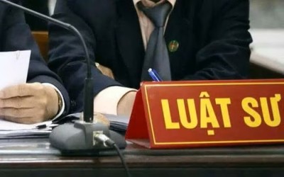 Luật sư bị đình chỉ thành viên khi đại diện hai bên có lợi ích đối lập