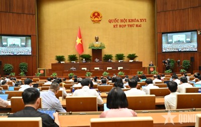 Sửa đổi pháp luật về cạnh tranh, bảo vệ người tiêu dùng: Doanh nghiệp cần chủ động theo dõi